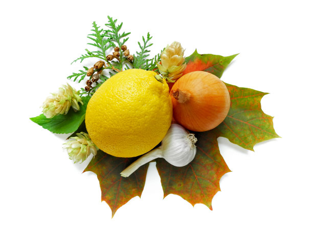 天然维生素:柠檬、洋葱和大蒜对秋叶和植物隔离图片下载
