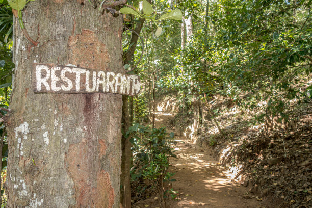 斯里兰卡森林里的一棵树上钉着一个带有拼写错误的木制丛林餐馆标志，指示牌指向一条小路图片下载