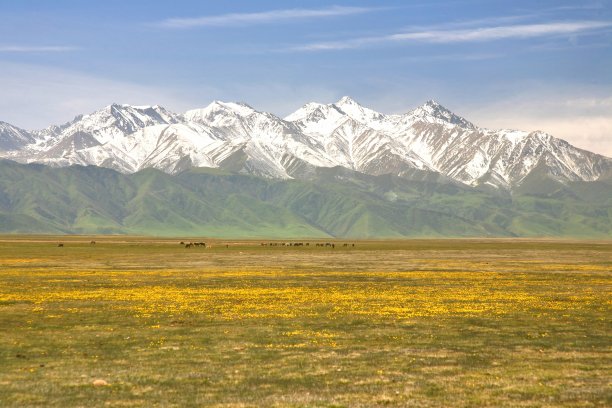 美丽的纳林与吉尔吉斯斯坦的天山山脉图片下载