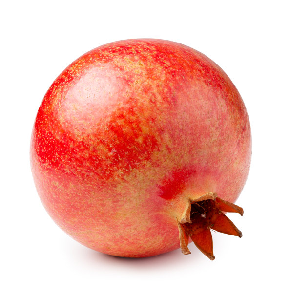 孤立的石榴白色图片下载