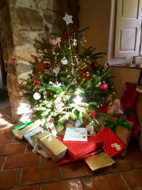 国内的圣诞树图片下载