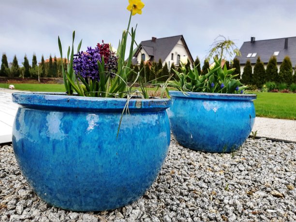 花园里的蓝色花盆。图片下载