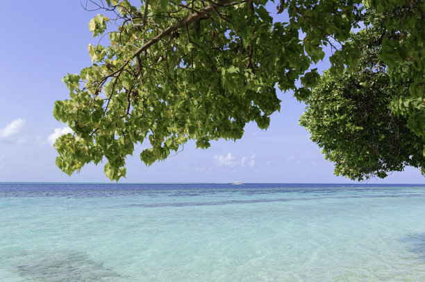 美丽的夏季热带海滩在异国情调的岛屿马尔代夫图片下载