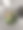 各种多肉植物在一个有鹅卵石的容器里图片下载