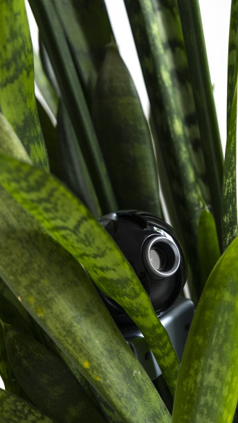 隐蔽的网络摄像头偷偷地安装在工厂里进行观察。视频监控系统。图片下载