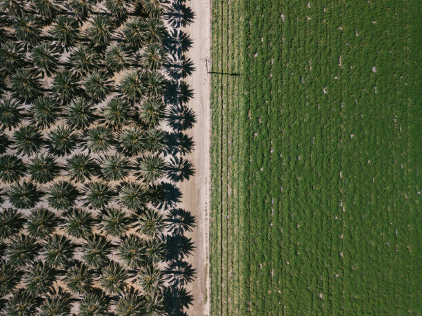 手掌和生产图片下载