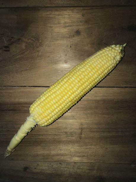 玉米和黄色的苍蝇在木地板上图片下载