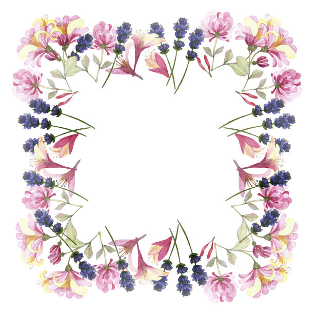 水彩手绘自然方形边框与紫色薰衣草，粉红色金银花在绿色的树枝花束邀请和贺卡与文字的空间图片下载