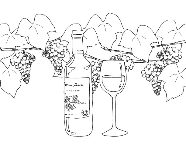 葡萄酒和葡萄图片下载