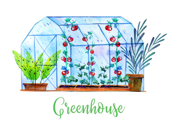 由温室和植物组成。手绘水彩彩色素描插图图片下载
