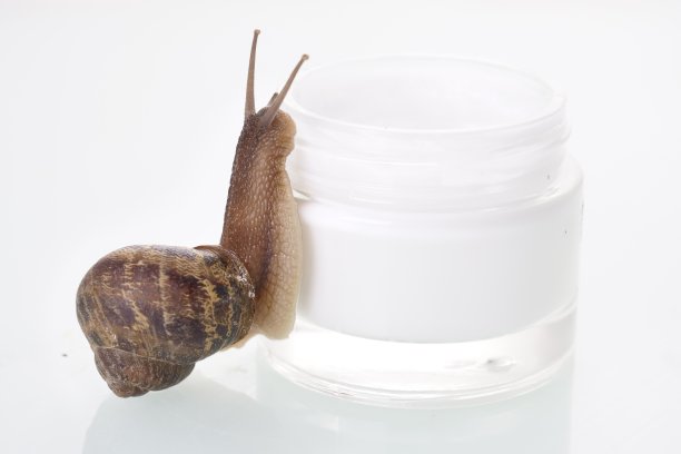 近距离观察，一只蜗牛飞快地奔向一罐护肤霜图片下载