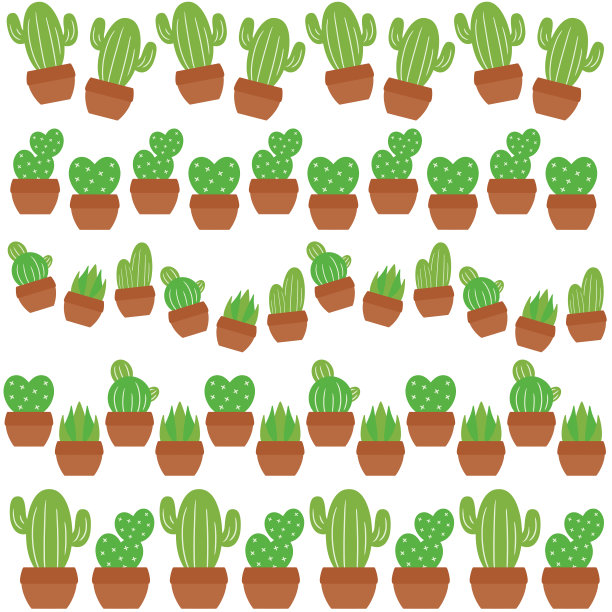 仙人掌行设置图片下载