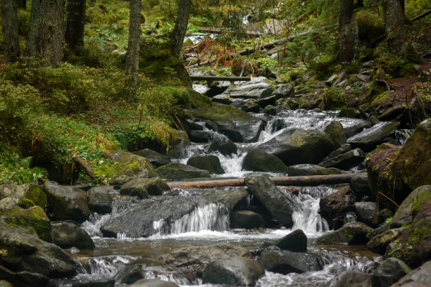干净的山间河流，石头上覆盖着绿色苔藓图片下载