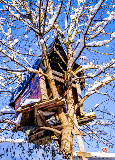 老木屋图片下载