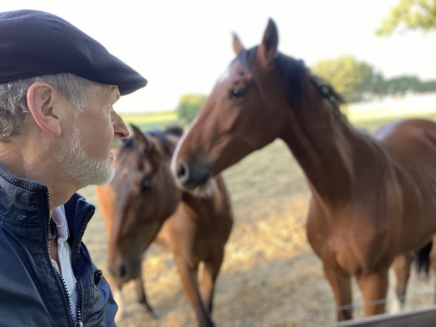 欢迎马匹图片下载