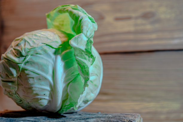 笨蛋。新鲜卷心菜(甘蓝)图片下载