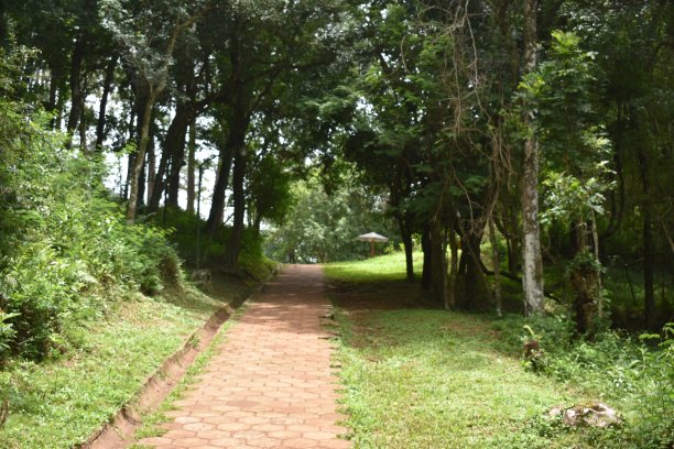 路径在计划图片下载