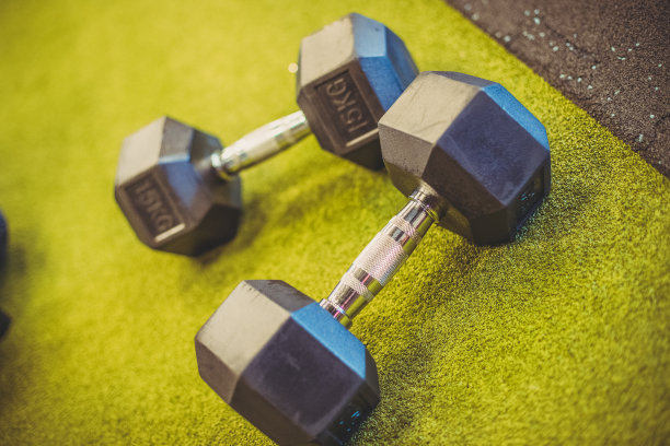 两个15公斤的重量图片下载