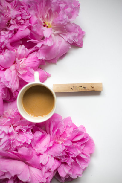 欢迎6月图片下载