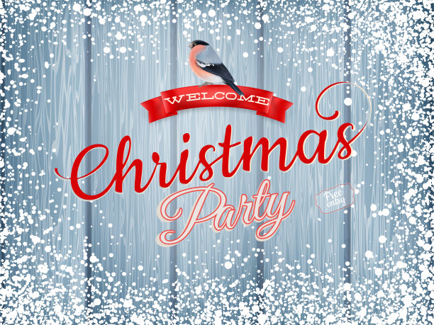 寒假装饰用红腹灰雀。每股收益10图片下载