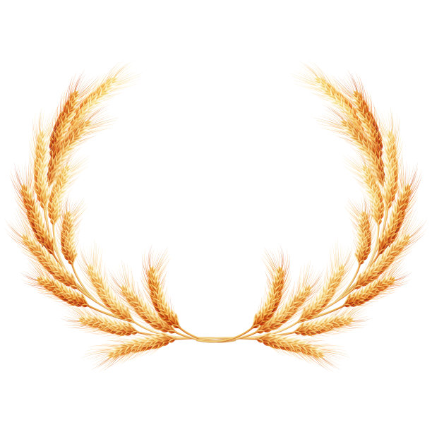 小麦的耳朵花环。每股收益10图片下载