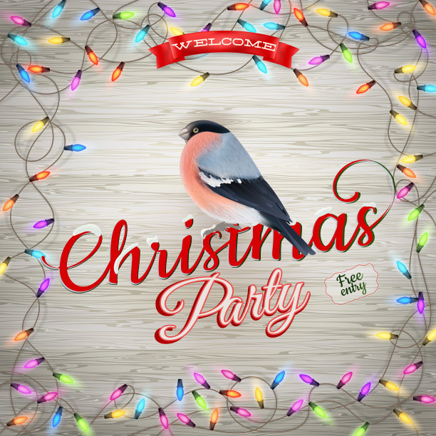 寒假装饰用红腹灰雀。每股收益10图片下载