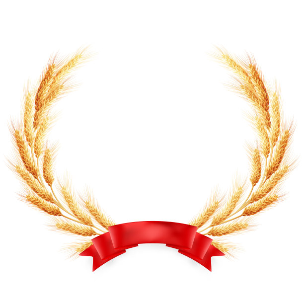 成熟的黄麦穗上带着红丝带。每股收益10图片下载