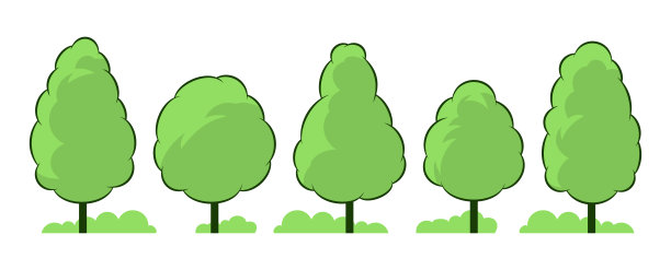 夏天。树组图片下载