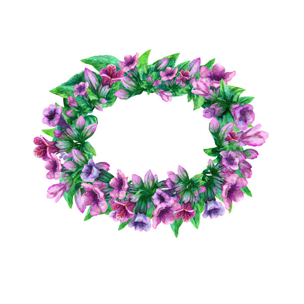 一幅肺叶画，龙须草花元素。绘有野花花环，椭圆形框架排列，花环。一个花卉水彩画插图模板与文本复制空间。图片下载