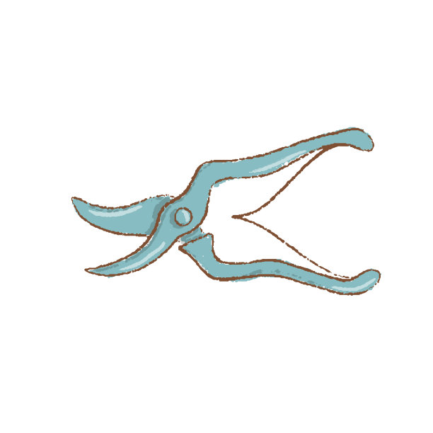 专业的园艺修剪机或剪刀或剪枝夹孤立在白色背景与修剪路径图片下载