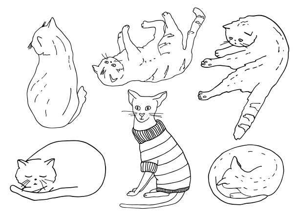 轮廓猫在不同的姿势设置。小猫穿着毛衣，坐着，玩着，睡觉着。手绘等高线矢量插图着色书，装饰，卡片，旗帜，猫，兽医，宠物商店，打印。图片下载