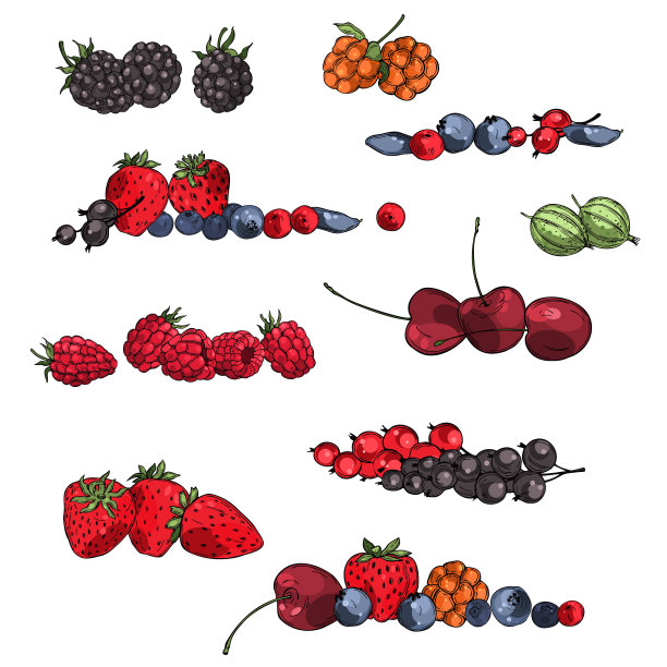 手绘浆果集。向量速写插图。图片下载