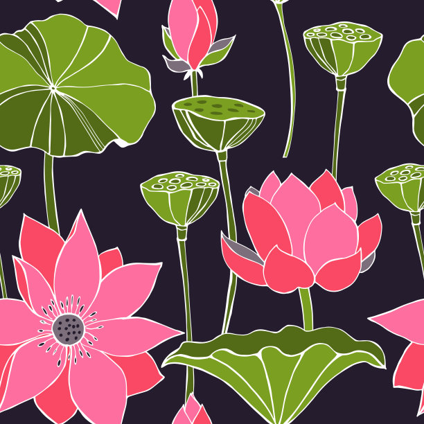向量无缝模式与莲花。图片下载
