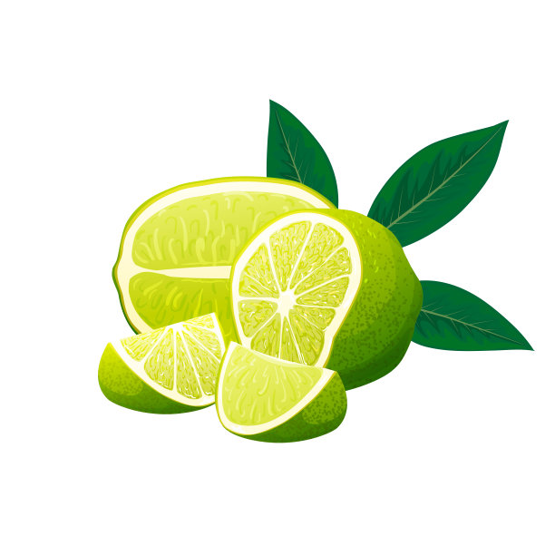 新鲜的酸橙和酸橙片。矢量图图片下载