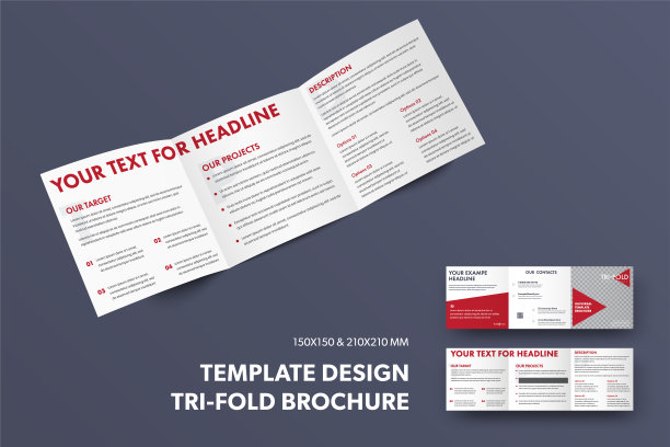 标准方形宣传册模板与设计的介绍，打开三折与红色三角形，位置照片，正面和背面视图。图片下载
