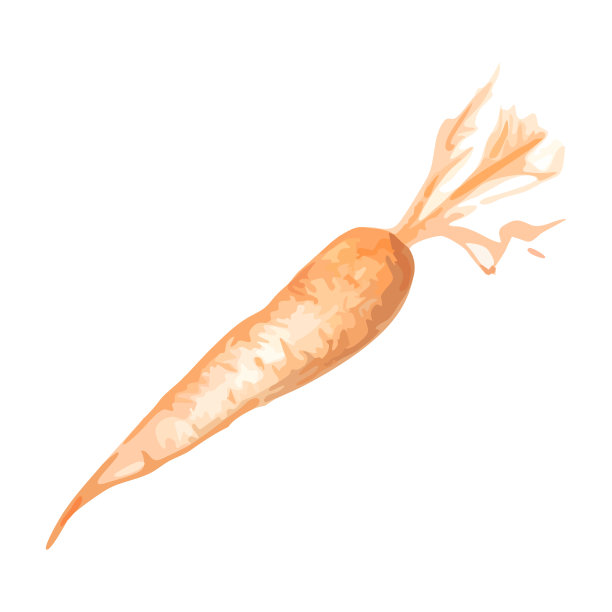 橙色单色胡萝卜蔬菜简单的插画素描艺术向量图片下载