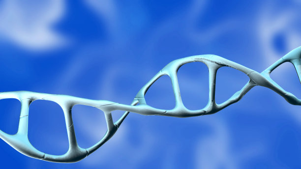 DNA分子在黑色的3D渲染。图片下载