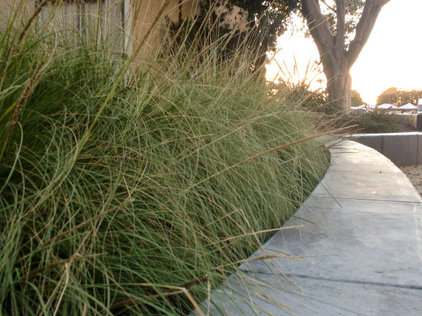 现代景观设计图片下载