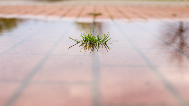 清澈水中的倒影图片下载