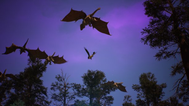 神奇的生物飞过神秘的夜森林。循环的幻想，小说或神话背景。3 d渲染。图片下载