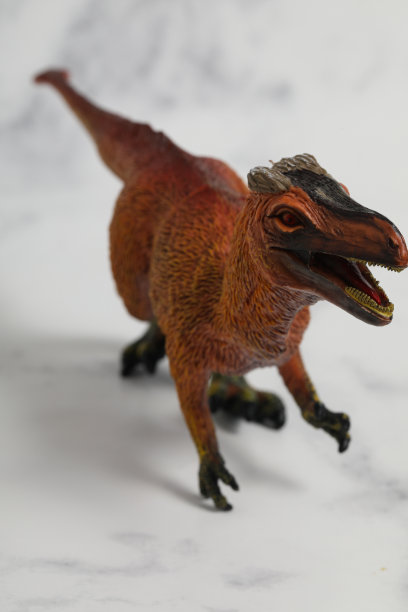 羽毛的迅猛龙在白色的背景。史前食肉动物图片下载