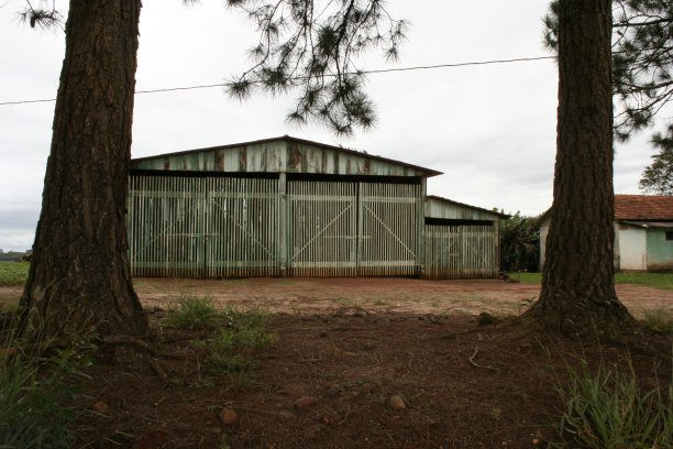 绿色的挑战图片下载