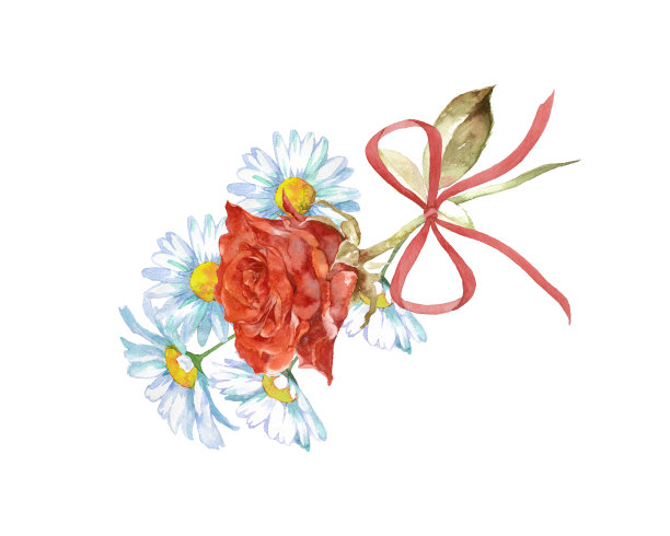 玫瑰和白色雏菊花图片下载