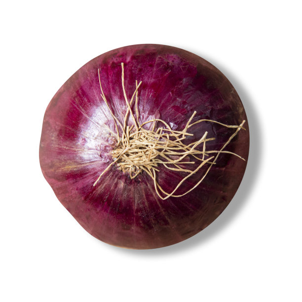 紫色的洋葱。孤立在白色背景上。图片下载
