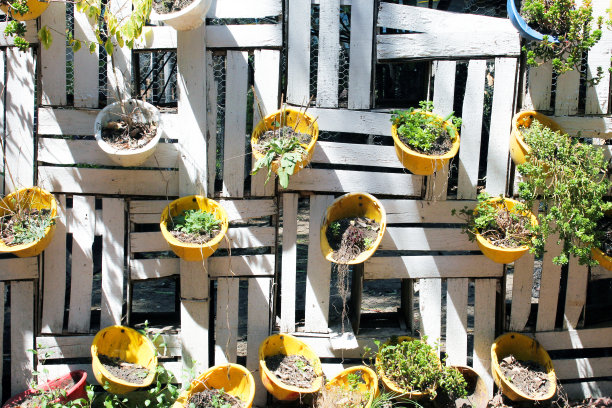 木墙与植物装饰在一个美丽的农场在墨西哥在春天图片下载