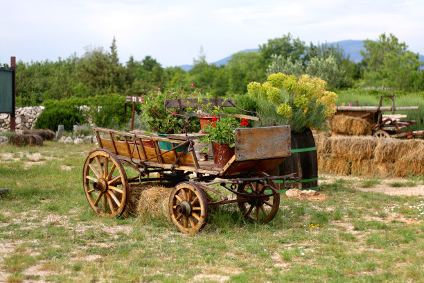 农村的场景图片下载