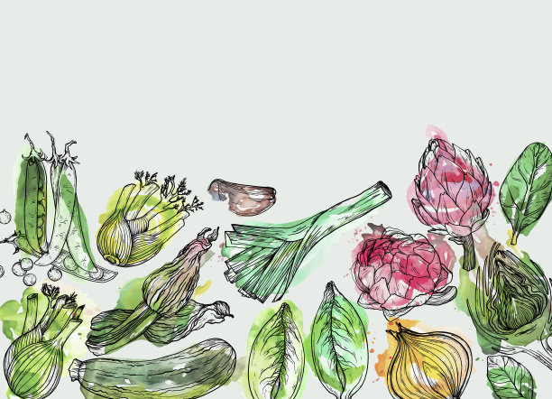 蔬菜手绘水彩背景与自然地中海蔬菜。新鲜的有机食品。图片下载