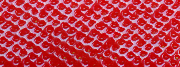 草莓图案计算为背景和缩放到8000x3000像素。作为草莓季节的食谱博客或厨房和食物博客的水果模板。图片下载