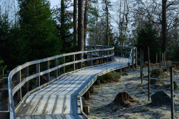 人行道图片下载