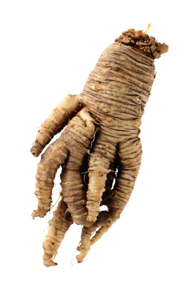 阿德诺福拉 · 斯特里达根的特写， 坎帕努洛迪埃， 阿德诺福拉图片下载